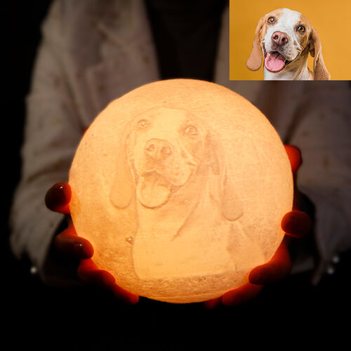 Remote Control 16 Colors-Photo Moon Lamp,Custom 3D Photo Light