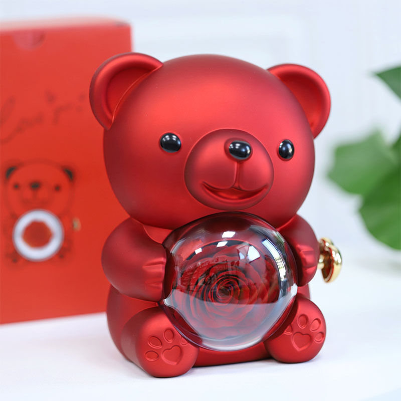 Boîte à bijoux personnalisé pour ours avec collier de projection arbre de vie Cadeau de St Valentin