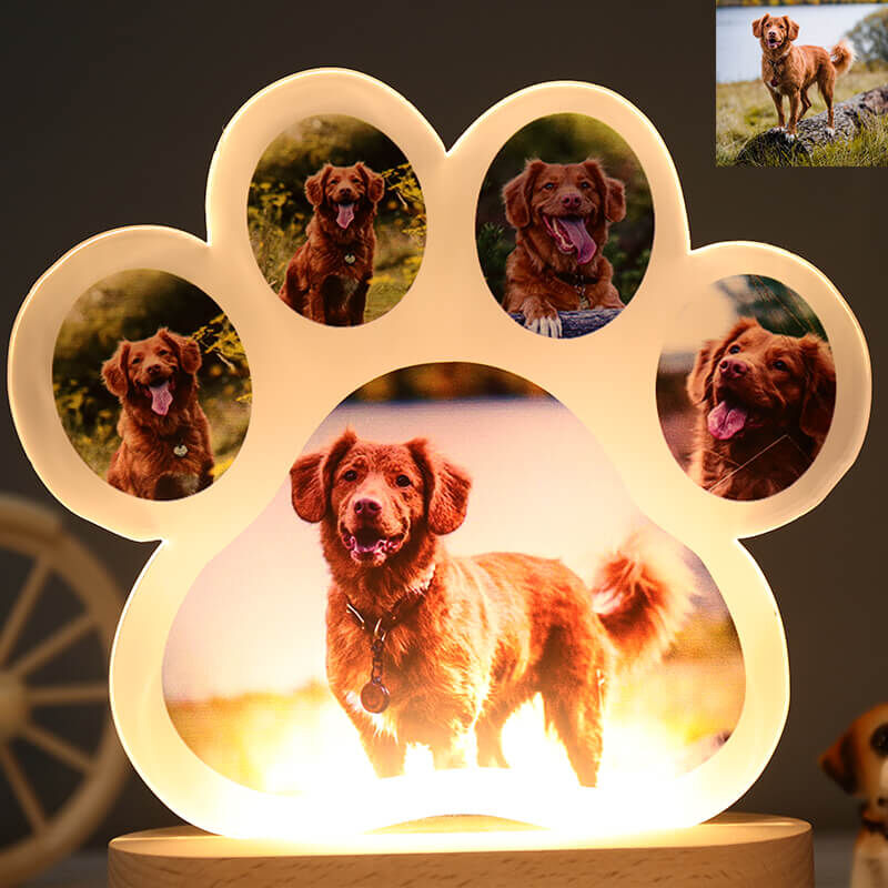 Gepersonaliseerd fotonachtlampje met pootafdruk Creatief cadeau voor dierenliefhebbers