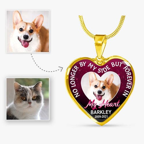"No Longer By My Side But Forever In My Heart" Unique Personalized Pet Memorial Necklace
