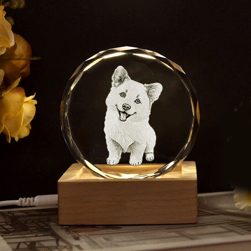 Individuelles Kristallfoto mit LED-Licht Basis Haustier Skizze Portrait Geschenk für Haustierbesitzer