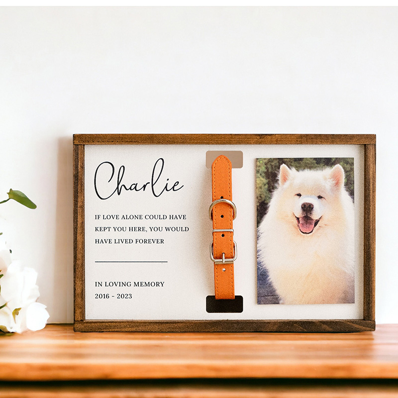 Personalized Pet Collar Photo Frame With Custom Text Memorial Gift For Pet Lovers