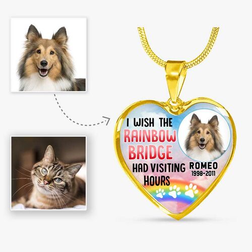 "Ich wünsche mir, dass die Regenbogenbrücke Besuchszeiten hat" Luxus-Haustier-Gedenk-Halskette Geschenk für Tierliebhaber