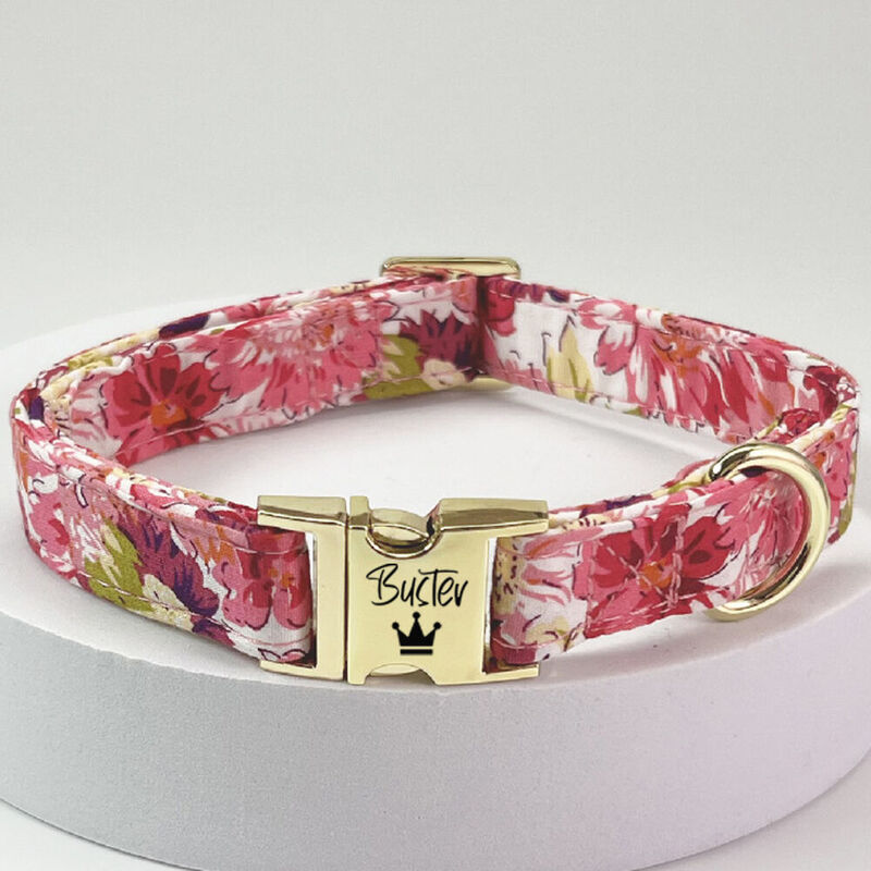 Collar Personalizado con Nombre de su Mascota Regalos para dueños de mascotas