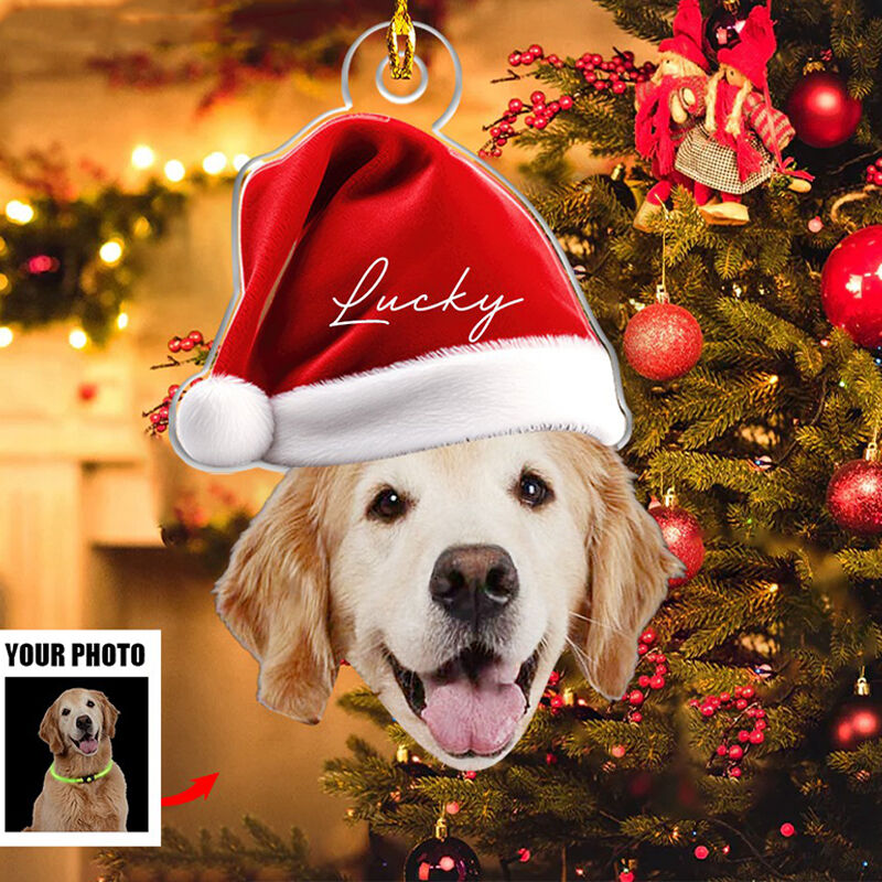 【2024新春福袋】 サンタ （ゴールデン 置物 クリスマス ゴールデンレトリバー 犬雑貨・オーナーズグッズ