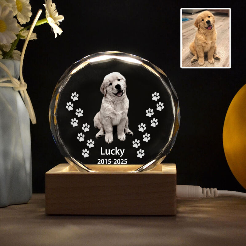 Personalized Crystal Photo with LED Light Base Sympathy Gift for Pet Owners