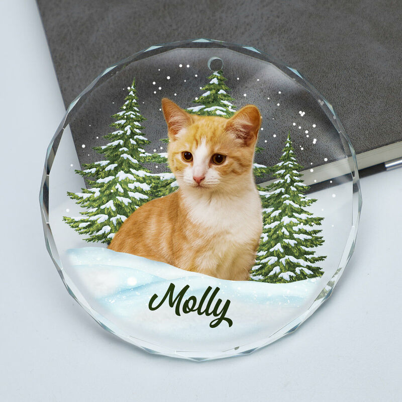 Personalized Christmas Ornaments Customized Pet Photos Cute Christmas Gifts