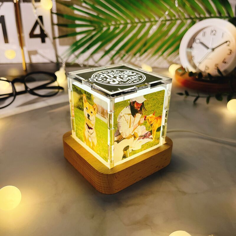 Cube lumineux en acrylique avec photo personnalisée Cadeau unique pour les amoureux des animaux de compagnie