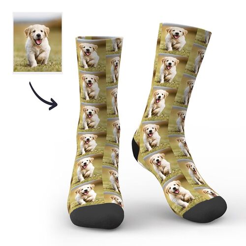 Chaussettes Cadeau Photo personnalisée à impression complète Image de chien mignon