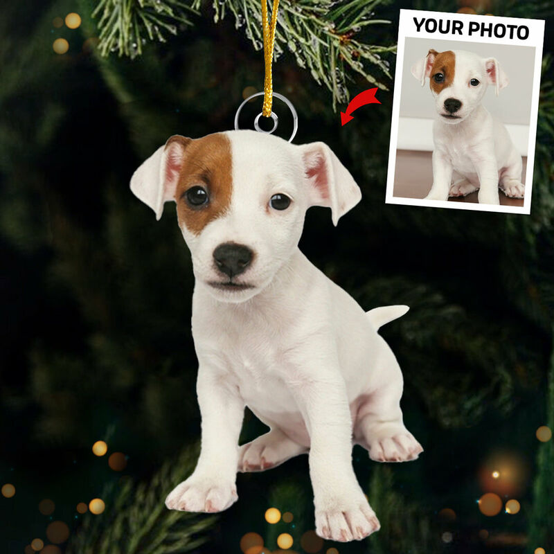 Gepersonaliseerde kerstversiering met aangepaste foto's van huisdieren voor liefhebbers van huisdieren