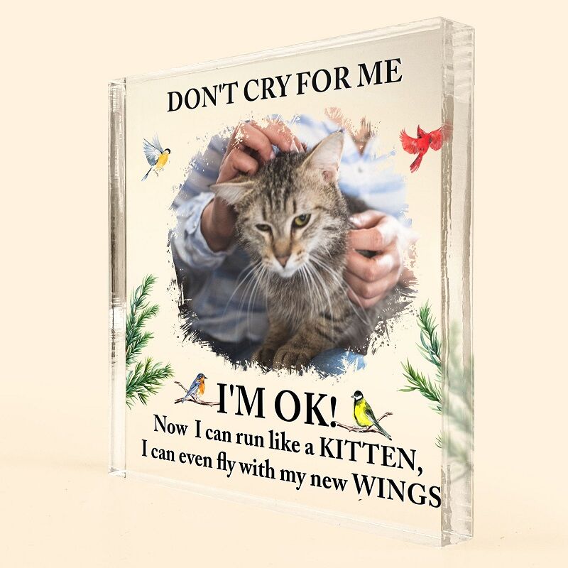 Personalized Square Acrylic Photo Plaque Don't Cry For Me Kitten Memorial Gift for Pet Lover
