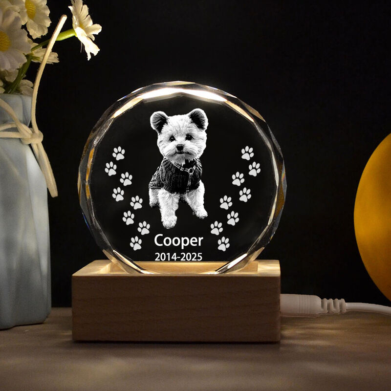 Personalized Crystal Photo with LED Light Base Sympathy Gift for Pet Owners