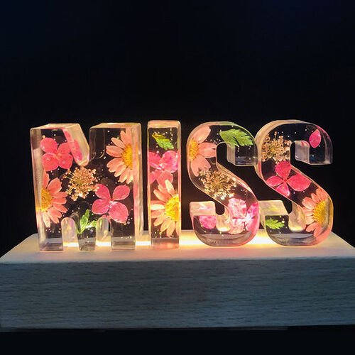 Custom Pink Chrysanthemum Dried Flower Resin Name Letter Lamp-For Lover
