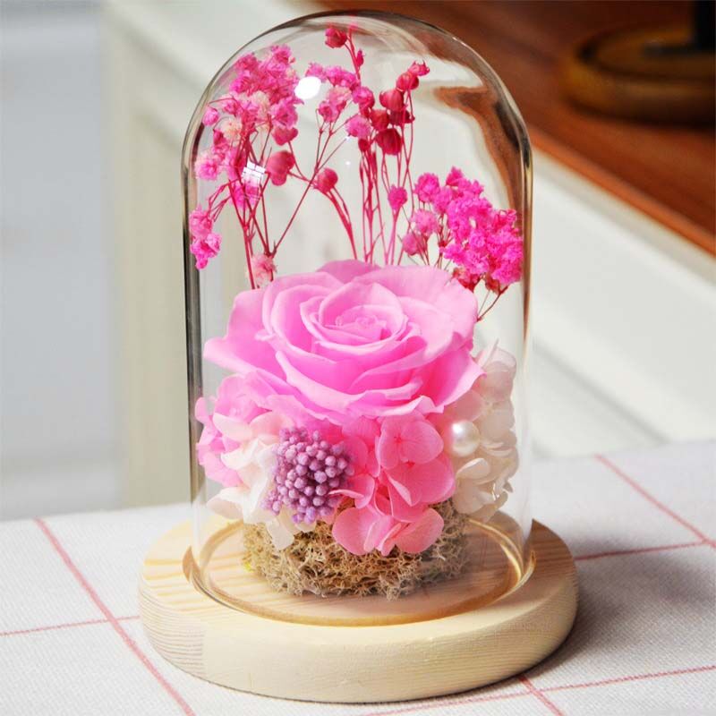 Preserved Rose Flower Glass Cover Rose Flower Valentine's Day Gift
