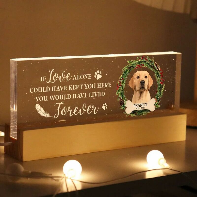 Personalized Led Lights Custom Photo Memorial Gifts For Pet Owners