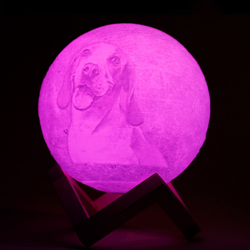 Remote Control 16 Colors-Photo Moon Lamp,Custom 3D Photo Light