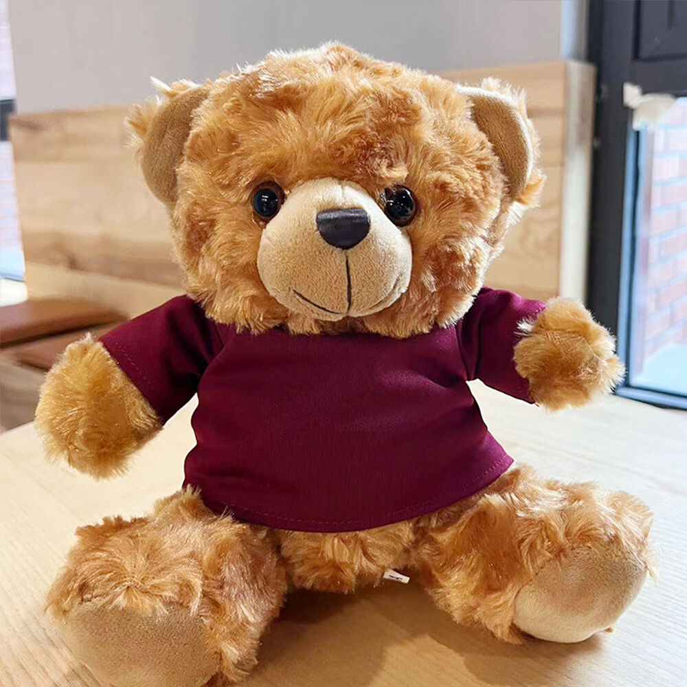 Personalized Plush Teddy Bear Add Name Gift for Friends