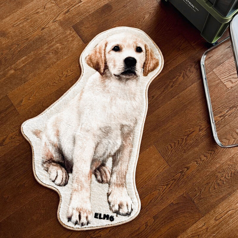 Personalized Special-Shaped Floor Mats Customized Pet Photo Cute Gift