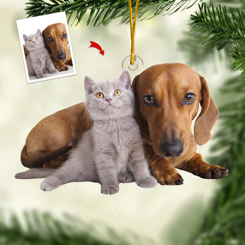 Gepersonaliseerde kerstversiering met aangepaste foto's van huisdieren voor liefhebbers van huisdieren