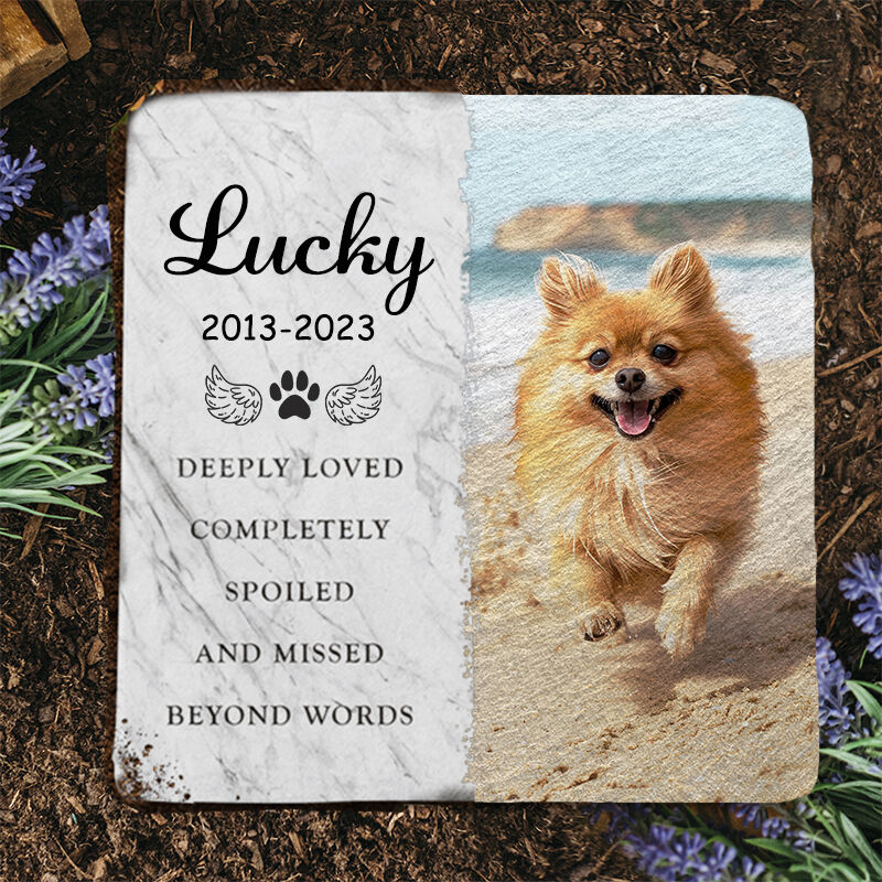 Pierres commémoratives personnalisées pour animaux de compagnie Cadeaux commémoratifs pour chats/chiens pour la perte d'un animal de compagnie