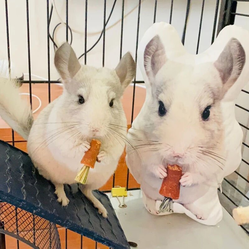 3D Carino Cuscino Personalizzato con Foto per Viso degli Animali Domestici